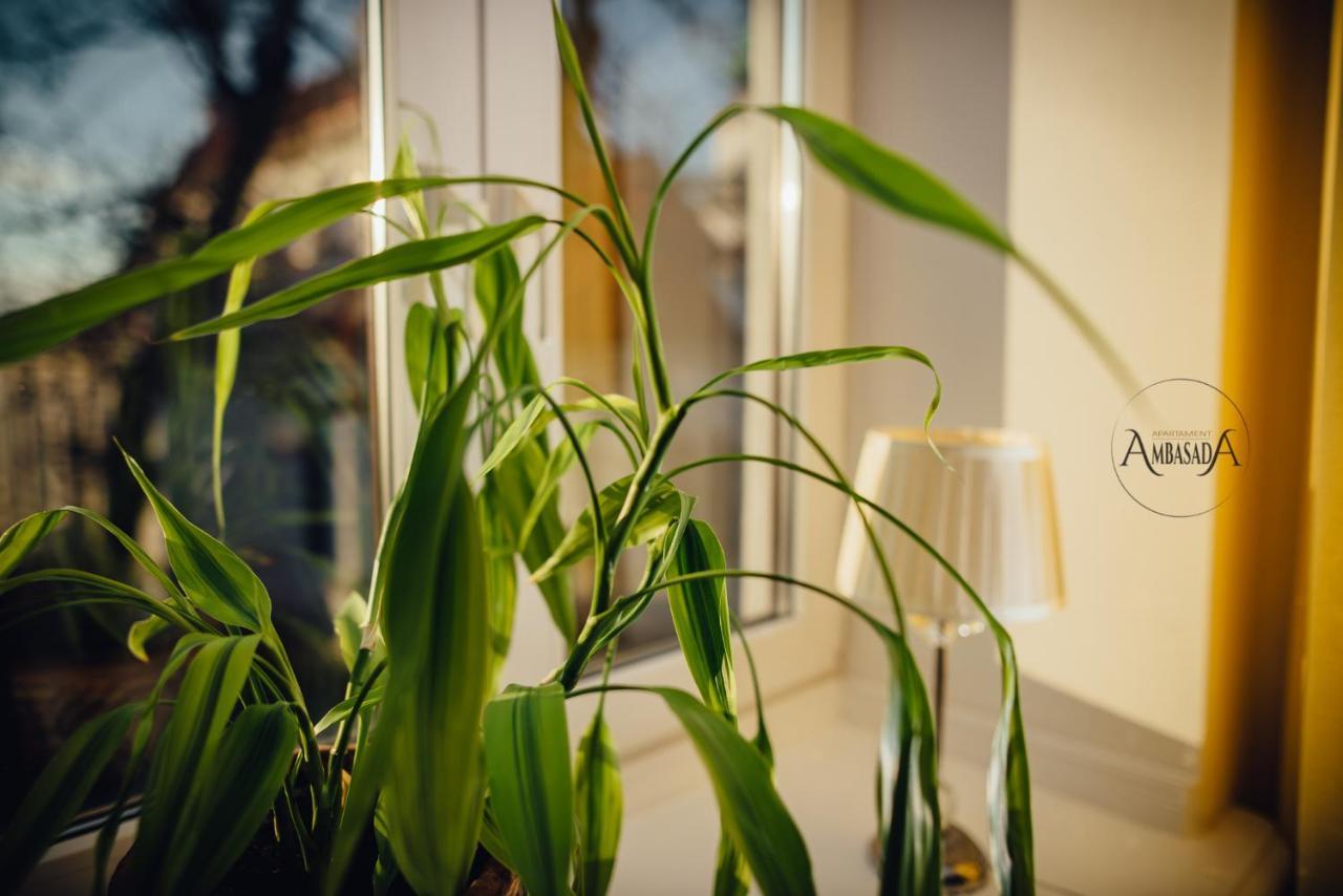 Apartament Ambasada Zamość Eksteriør billede