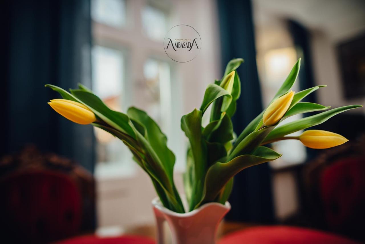 Apartament Ambasada Zamość Eksteriør billede